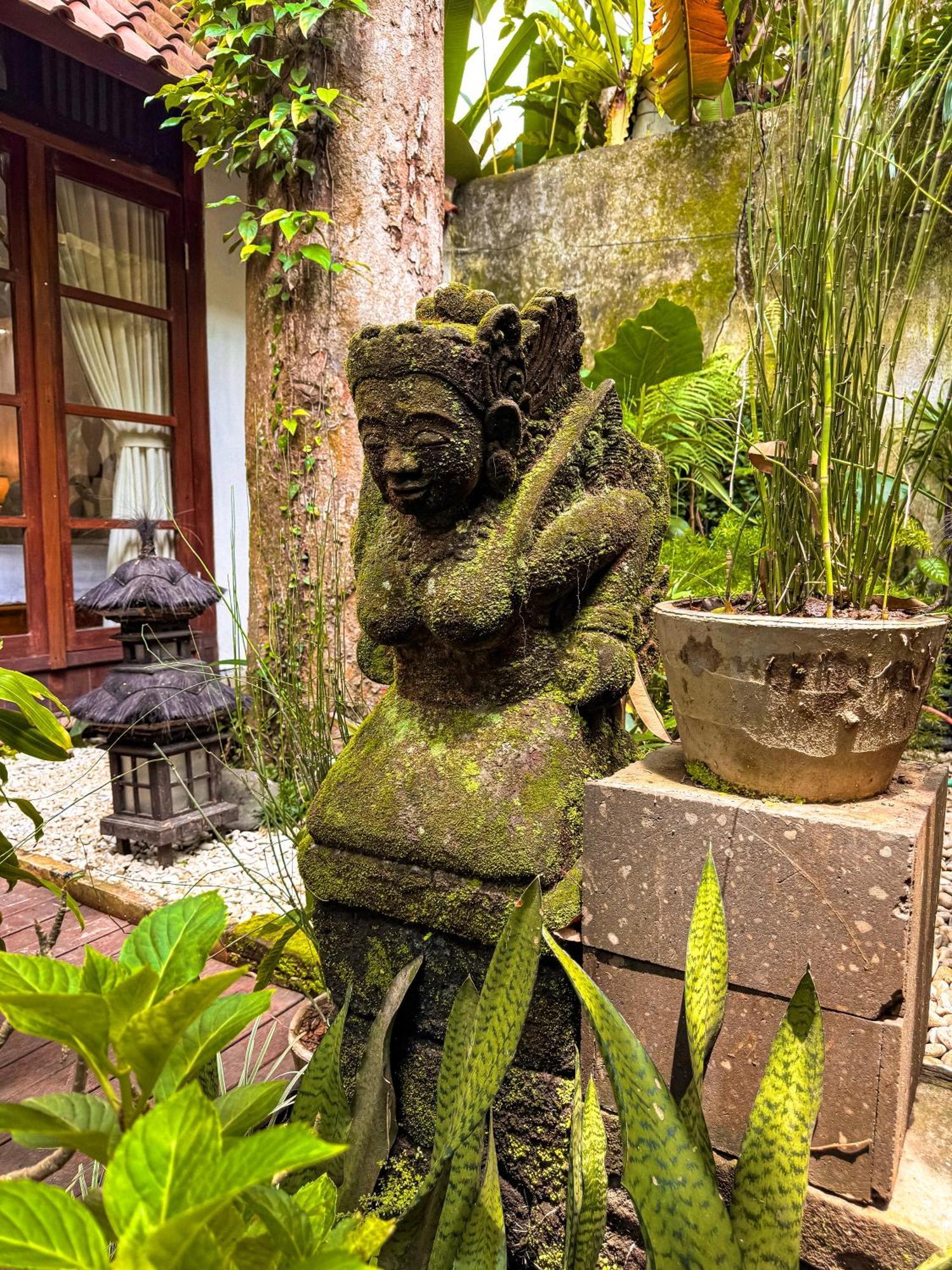 Bali Maison *